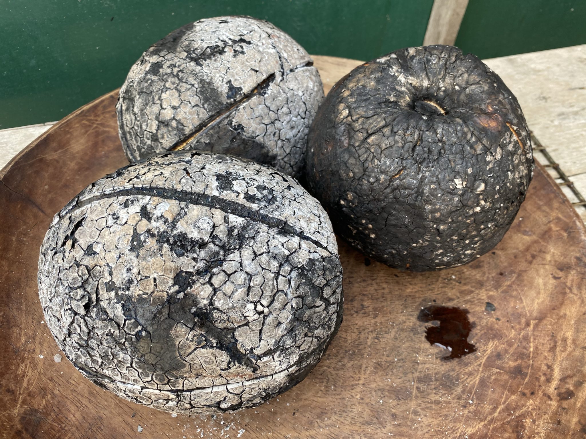 エスピリトサント州トリンダーデ島でプラスチックで形成された岩石が見つかる